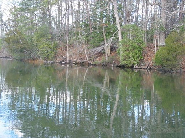 Deep protected waterfront lot just a few feet away off the - Beach Lot for sale in Burgess, Virginia on Beachhouse.com