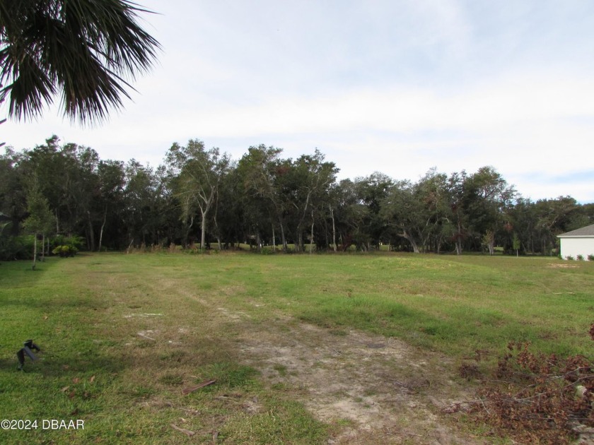 Great opportunity to own a cleared, buildable lot in Halifax - Beach Lot for sale in Ormond Beach, Florida on Beachhouse.com