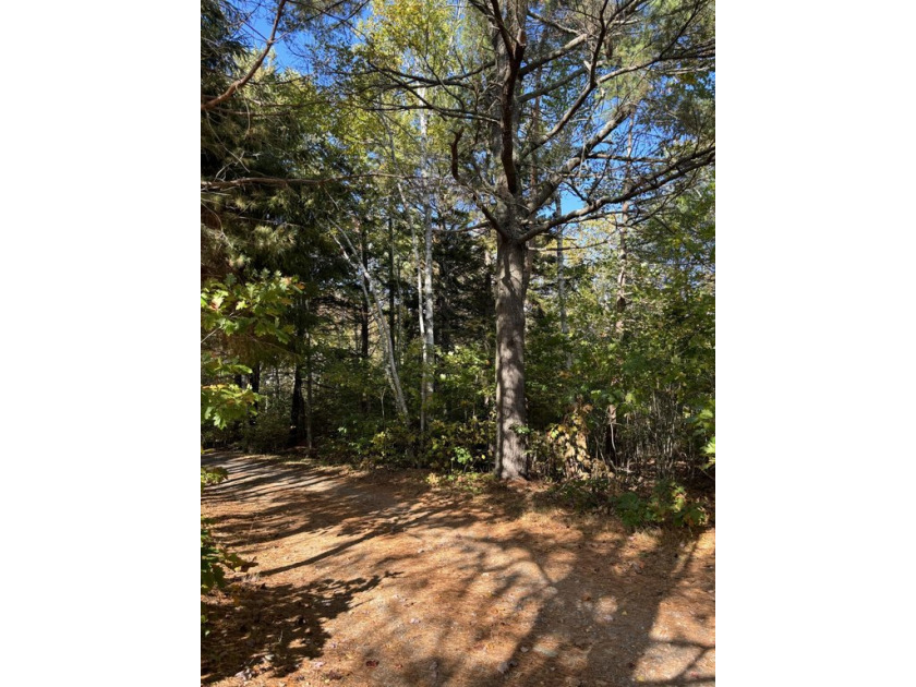 Wonderfully located and rare building lot just a mile from one - Beach Lot for sale in Kennebunkport, Maine on Beachhouse.com