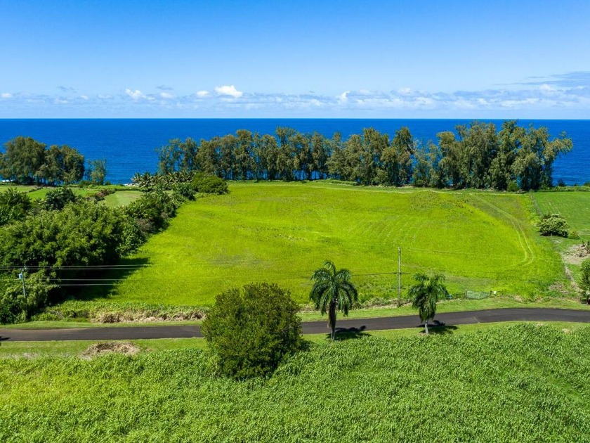 Bring your Builder- Amazing Oceanfront  building - Beach Lot for sale in Pepeekeo, Hawaii on Beachhouse.com