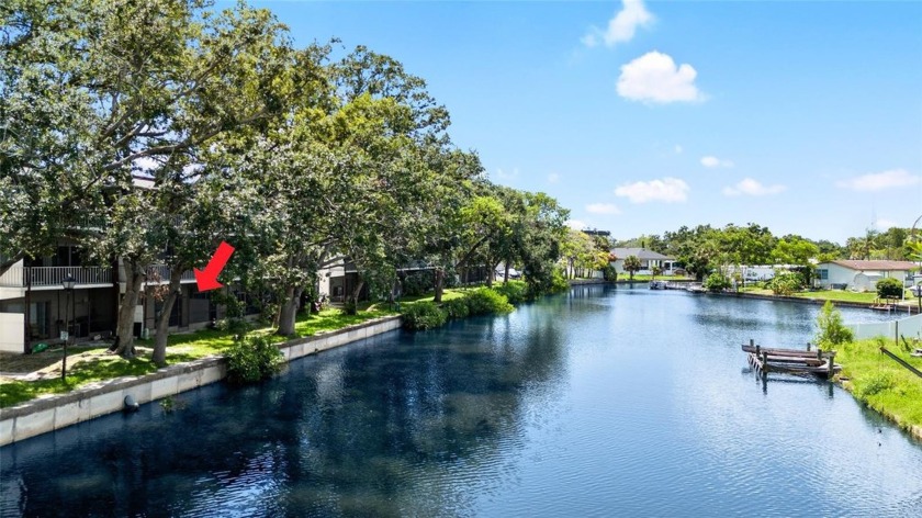 Under contract-accepting backup offers - Beach Condo for sale in Tampa, Florida on Beachhouse.com