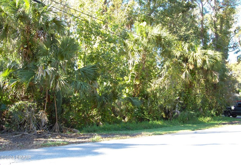 What a terrific location for your new home in New Smyrna Beach - Beach Lot for sale in New Smyrna Beach, Florida on Beachhouse.com