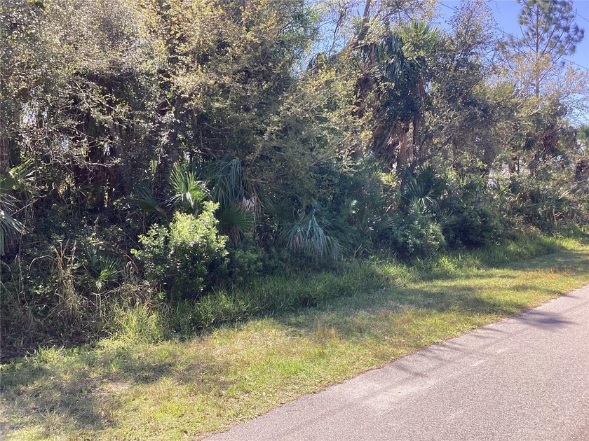 Here is a wonderful opportunity to own an 80'x125' lot in a - Beach Lot for sale in North Port, Florida on Beachhouse.com