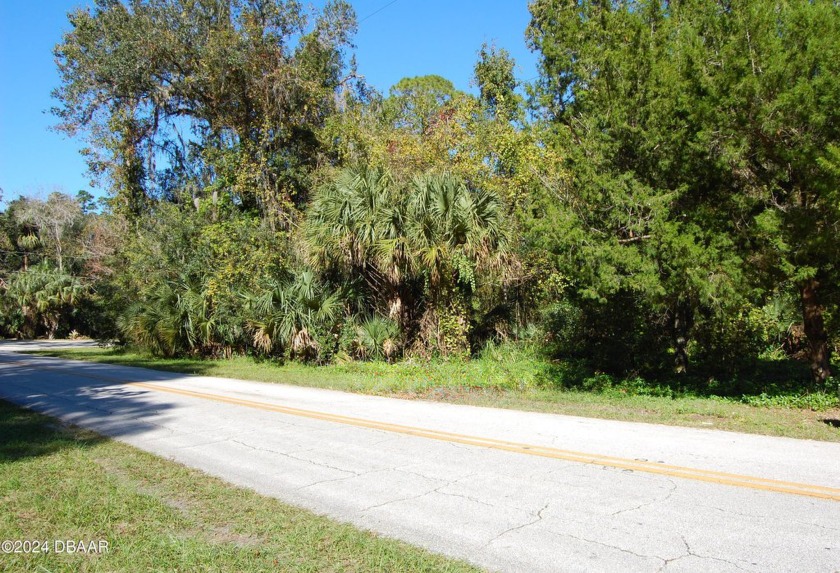 Terrific central location in New Smyrna Beach. This is a - Beach Lot for sale in New Smyrna Beach, Florida on Beachhouse.com