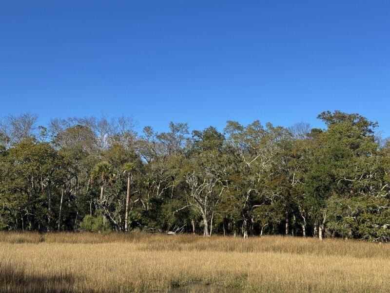 Marsh-Front Gem: Sunset Views & Lowcountry LivingExperience the - Beach Lot for sale in Edisto Island, South Carolina on Beachhouse.com