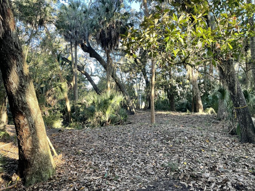 Take advantage of this opportunity to own one of the largest - Beach Lot for sale in Edisto Beach, South Carolina on Beachhouse.com