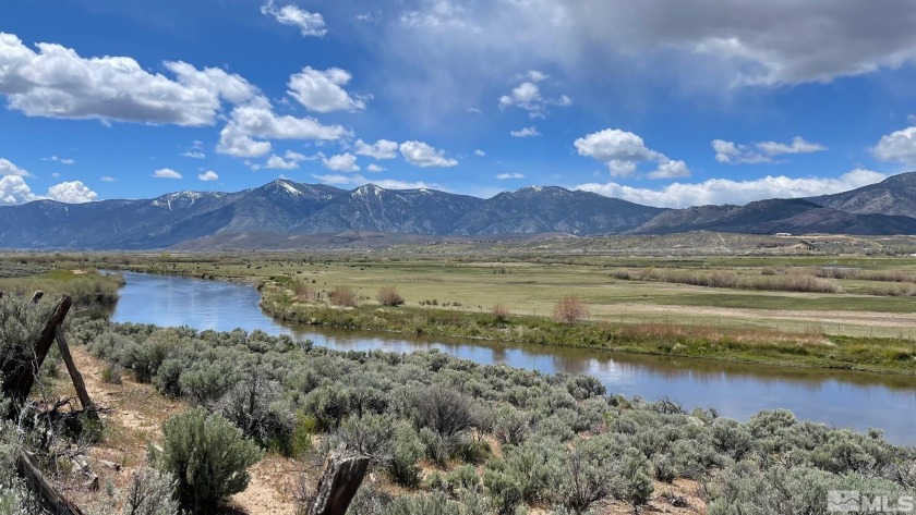A rare river front property in Nevada! Beautiful parcel looks - Beach Acreage for sale in Carson City, Nevada on Beachhouse.com