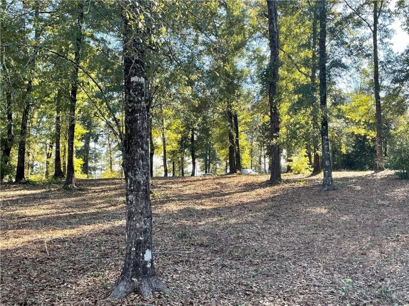 Large waterfront lot in The Bluffs at Cypress Creek totaling - Beach Lot for sale in Mobile, Alabama on Beachhouse.com