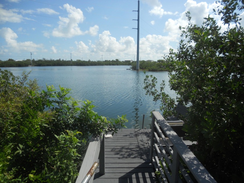 Great views from this manufactured home, live at end of street - Beach Home for sale in Rockland Key, Florida on Beachhouse.com