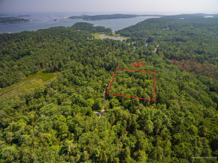 Lot 5 stretches across 40 vertical feet of beautifully verdant - Beach Lot for sale in Phippsburg, Maine on Beachhouse.com