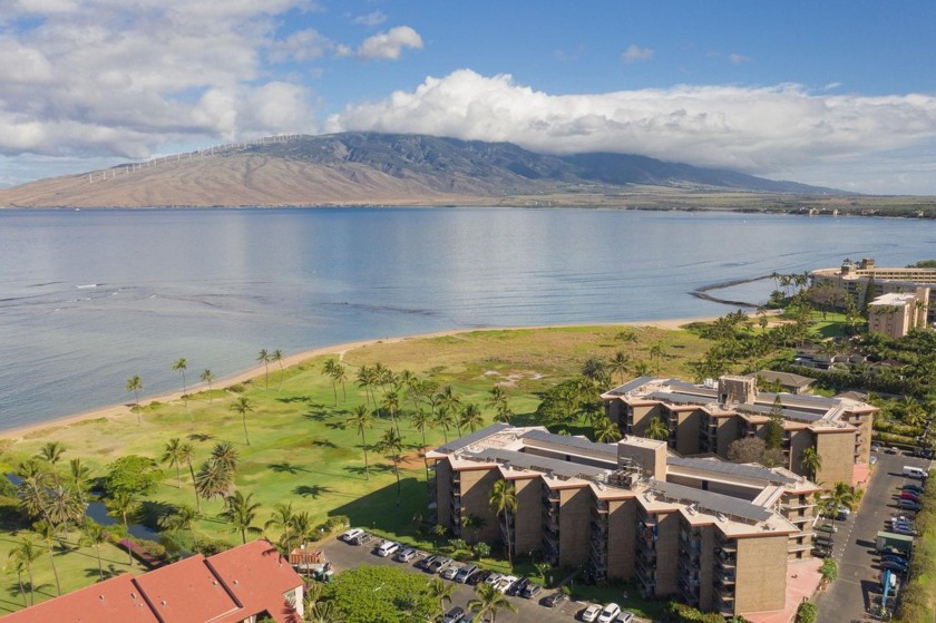 Kauhale Makai, unit 102 - Beachfront Property!  This great - Beach Condo for sale in Kihei, Hawaii on Beachhouse.com
