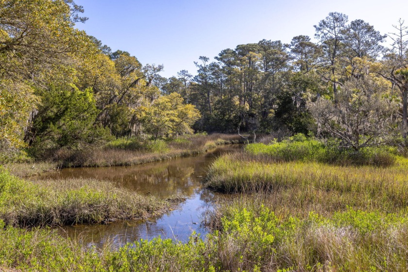 Marsh front.  This is your opportunity to build a custom home on - Beach Lot for sale in Seabrook Island, South Carolina on Beachhouse.com