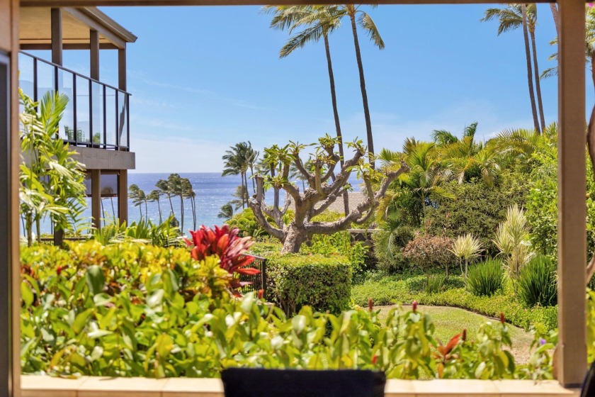 Aloha as what better Holiday gift than a nice Wailea Elua!!! - Beach Condo for sale in Kihei, Hawaii on Beachhouse.com