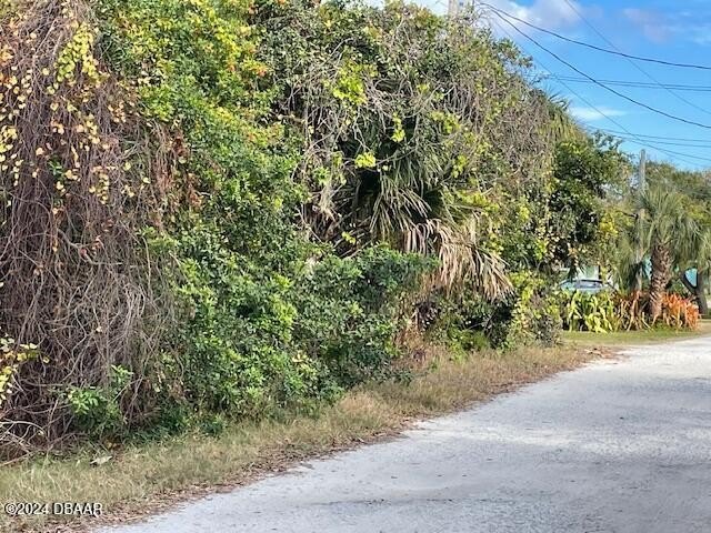 RARE BEACHSIDE VACANT LOT! This unique double size vacant lot - Beach Lot for sale in Ormond Beach, Florida on Beachhouse.com