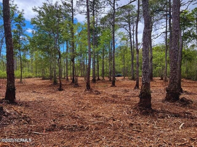 Partially cleared, wooded residential land in quiet Boiling - Beach Lot for sale in Southport, North Carolina on Beachhouse.com