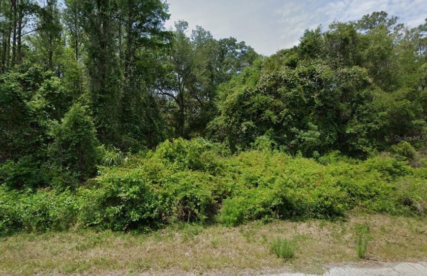 Less than a mile from the boat ramp at Lake Rousseau and - Beach Lot for sale in Crystal River, Florida on Beachhouse.com