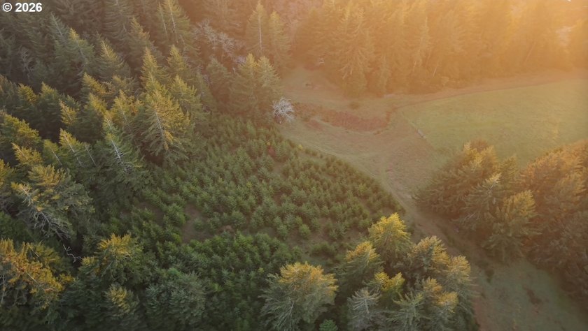 Rare coastal acreage with existing custom home and second - Beach Home for sale in Langlois, Oregon on Beachhouse.com