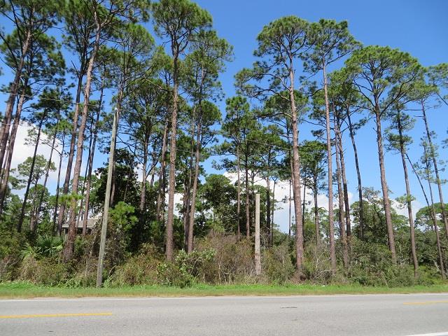 1 acre lot located in Hammock Shores Subdivision, homes only, NO - Beach Lot for sale in Eastpoint, Florida on Beachhouse.com