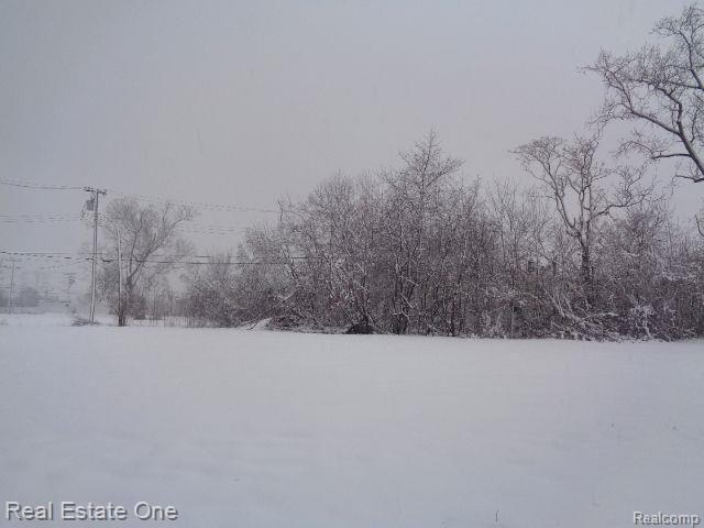 Welcome to the latest offering from the Detroit Land Bank - Beach Lot for sale in Detroit, Michigan on Beachhouse.com