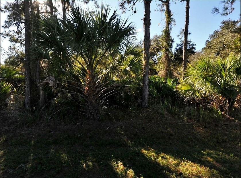 Standard building lot in North Port. Great location to Invest or - Beach Lot for sale in North Port, Florida on Beachhouse.com
