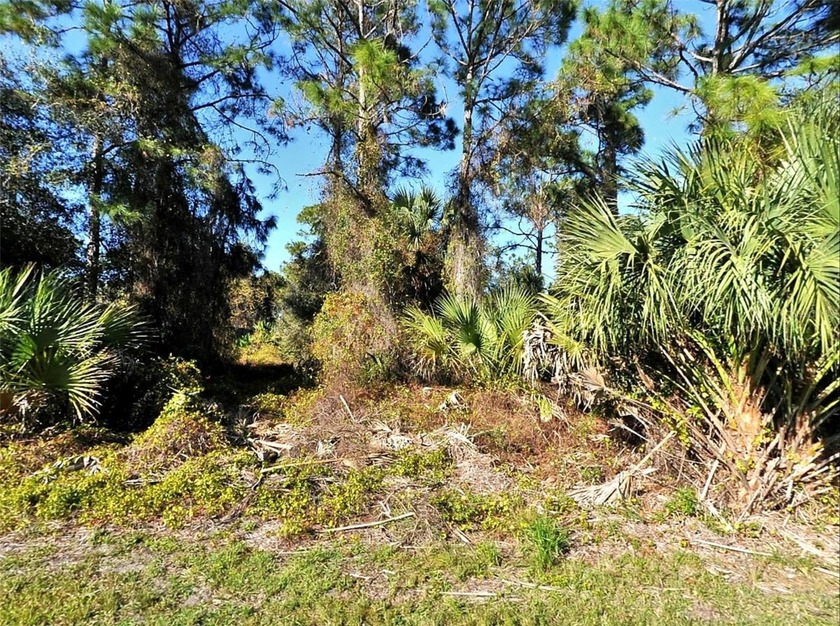 Buildable lot in Sarasota County, in a neighborhood with newer - Beach Lot for sale in North Port, Florida on Beachhouse.com