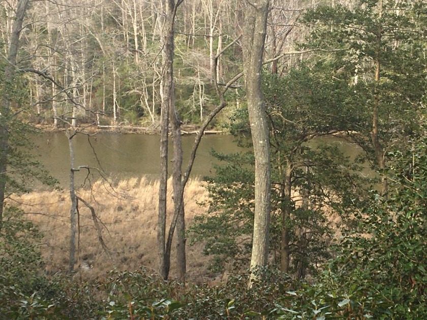 Great views looking down the Coan River and only minutes from - Beach Lot for sale in Heathsville, Virginia on Beachhouse.com
