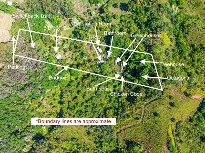 Submerse yourself into nature and drop down (literally) into - Beach Home for sale in Haiku, Hawaii on Beachhouse.com