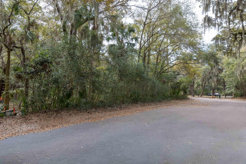 Build your custom Seabrook Island home on this spacious and - Beach Lot for sale in Johns Island, South Carolina on Beachhouse.com