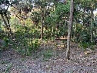 Buy now - build later. Explore the possibilities of designing - Beach Lot for sale in Edisto Beach, South Carolina on Beachhouse.com