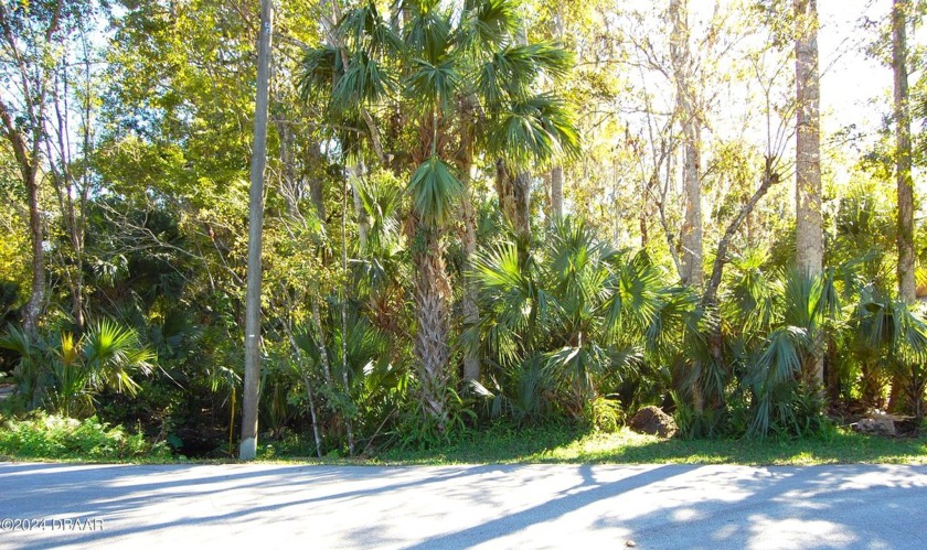 New Smyrna Beach! Great central location in the established - Beach Lot for sale in New Smyrna Beach, Florida on Beachhouse.com