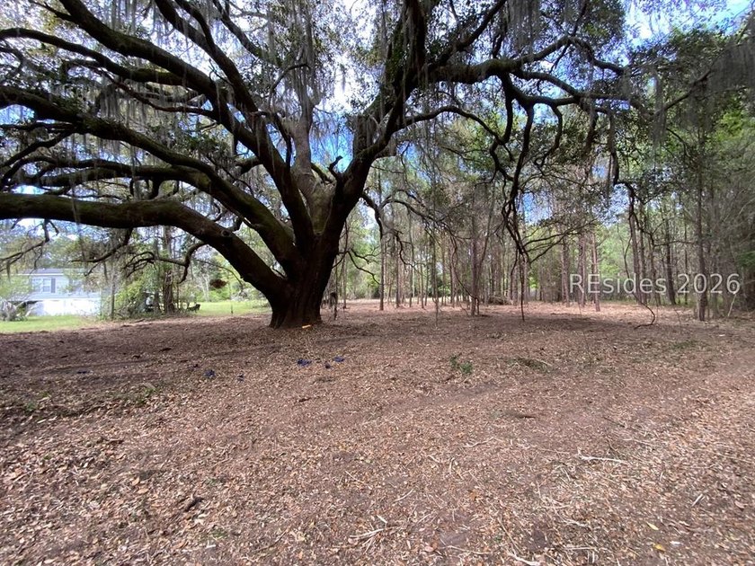 Rare opportunity on St. Helena Island! Beautiful 1-acre lot with - Beach Lot for sale in Saint Helena Island, South Carolina on Beachhouse.com