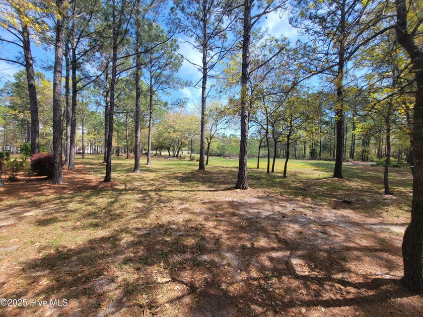 Beautiful naturally treed home site backing up to Leopard's - Beach Lot for sale in Ocean Isle Beach, North Carolina on Beachhouse.com