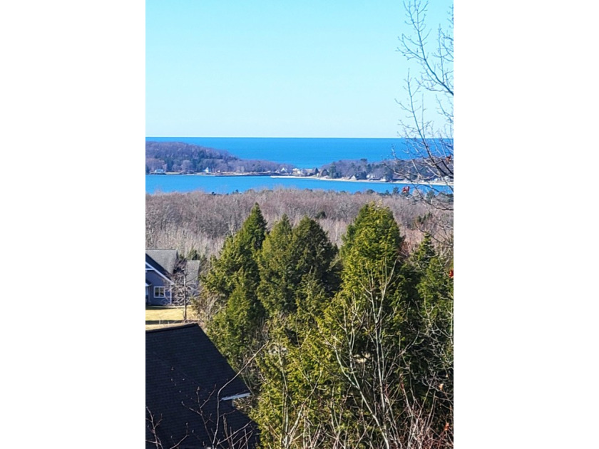 LAKE MICHIGAN & PORTAGE LAKE VIEWS! Lot 97, next door, is also - Beach Lot for sale in Onekama, Michigan on Beachhouse.com