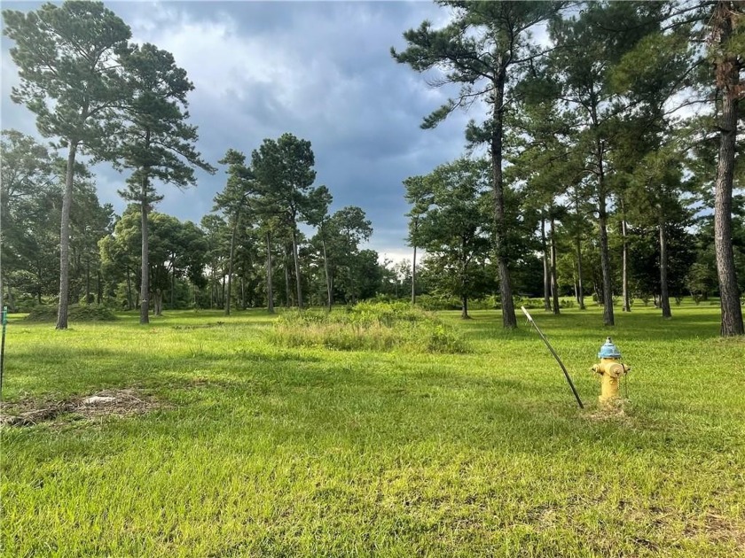 Stunning elevated waterfront lot perfect for your new dream home - Beach Lot for sale in Mobile, Alabama on Beachhouse.com