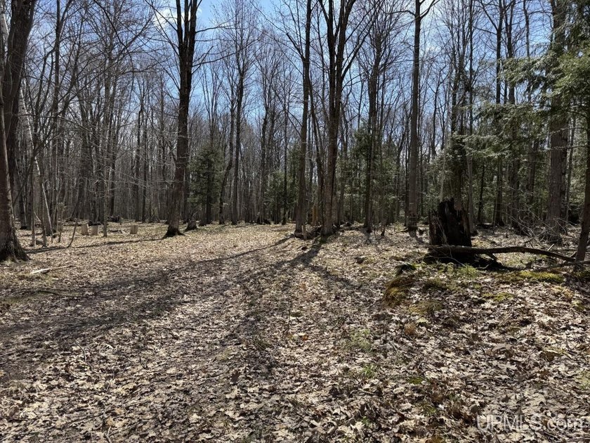 Beautifully wooded parcel with 1/2 circle drive and utilities on - Beach Acreage for sale in L Anse, Michigan on Beachhouse.com