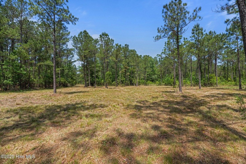 Here is your opportunity to build your waterfront dream home on - Beach Acreage for sale in Merritt, North Carolina on Beachhouse.com
