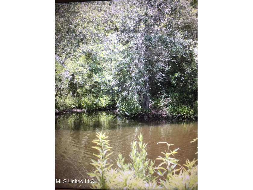 DEEP WATER ACCESS!!!    *** Listed BELOW Tax Assessed Value. *** - Beach Lot for sale in D Iberville, Mississippi on Beachhouse.com