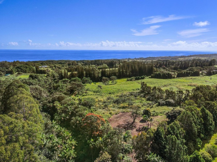 This scenic property offers gently rolling terrain, ocean views - Beach Acreage for sale in Hakalau, Hawaii on Beachhouse.com