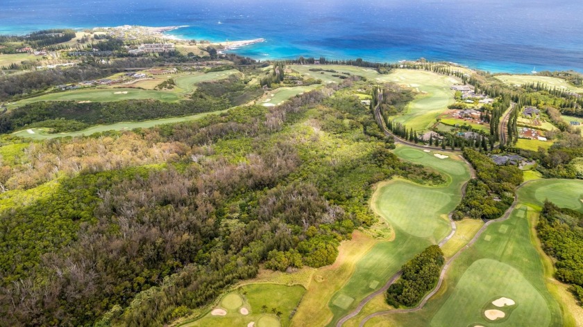 Situated between the 17th and 5th holes of the Plantation Golf - Beach Acreage for sale in Lahaina, Hawaii on Beachhouse.com
