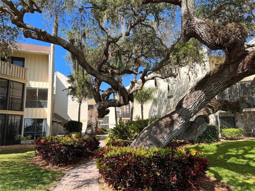 RENOVATED,  MODERN AND FRESH ** LOCATED ON THE 3RD FLOOR ** - Beach Condo for sale in Sarasota, Florida on Beachhouse.com