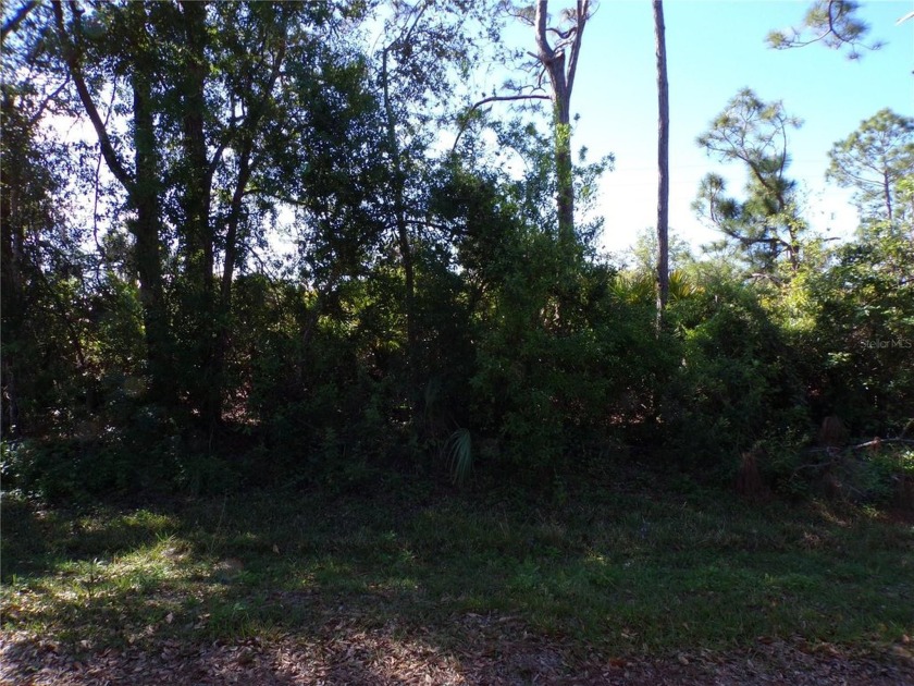 This lot is on a quiet street that would be a great place to - Beach Lot for sale in Punta Gorda, Florida on Beachhouse.com