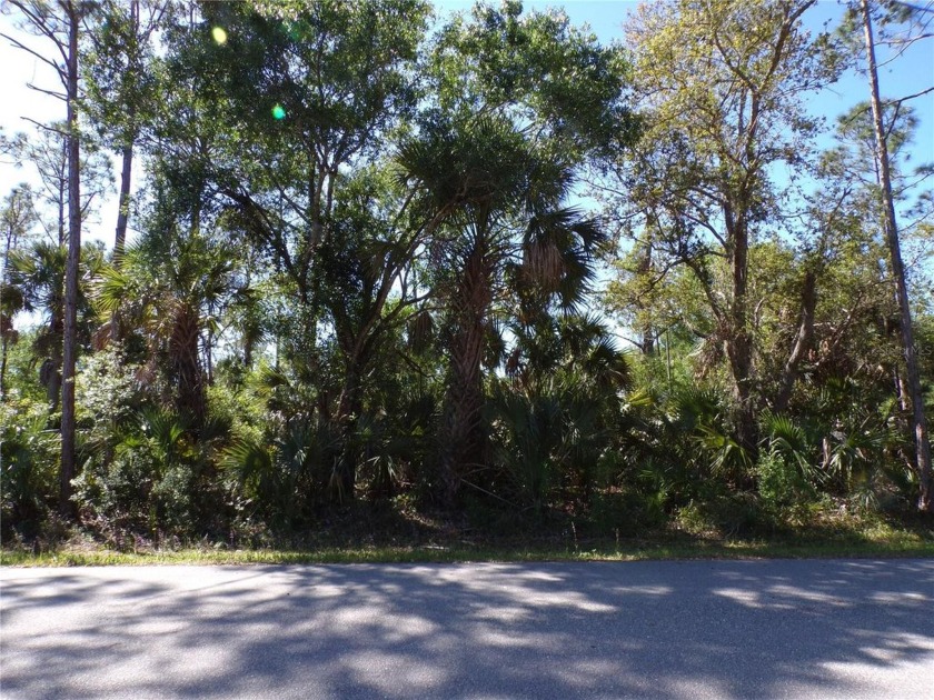 This lot is in Tropical Gulf Acres this is a great place to - Beach Lot for sale in Punta Gorda, Florida on Beachhouse.com