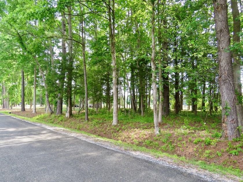 Invest in this excellent location in Indian Creek at the current - Beach Lot for sale in Kilmarnock, Virginia on Beachhouse.com
