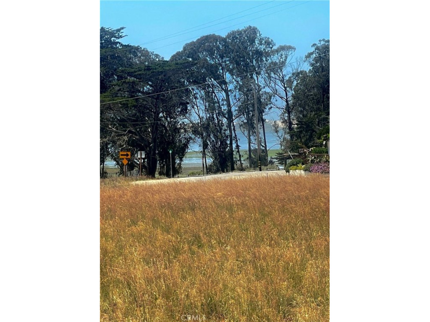 Excellent opportunity in prime location, spacious 6,000+ - Beach Lot for sale in Los Osos, California on Beachhouse.com