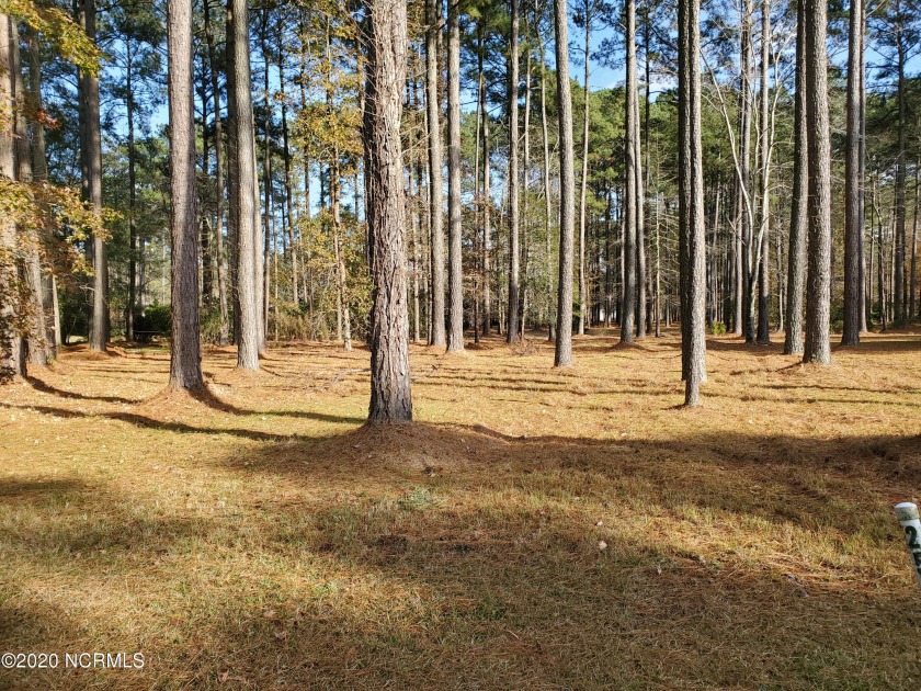 Beautiful nicely wooded level building lot in one of North - Beach Lot for sale in Chocowinity, North Carolina on Beachhouse.com