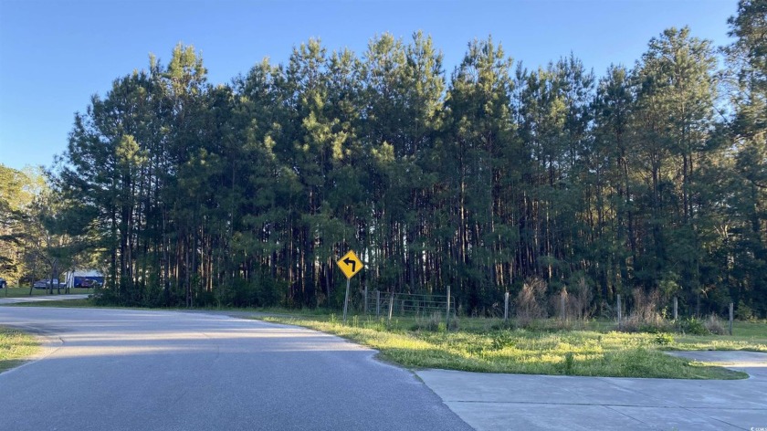WOW! This 1.07-acre wooded lot offers a rare opportunity to - Beach Lot for sale in Little River, South Carolina on Beachhouse.com