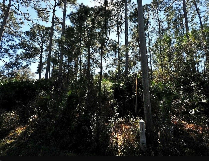 LAND DEAL AVAILABLE! Cash or hard money only! please see broker - Beach Lot for sale in North Port, Florida on Beachhouse.com