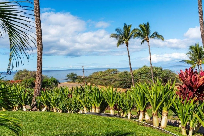 Experience the beauty of Maui from this tastefully remodeled - Beach Condo for sale in Kihei, Hawaii on Beachhouse.com
