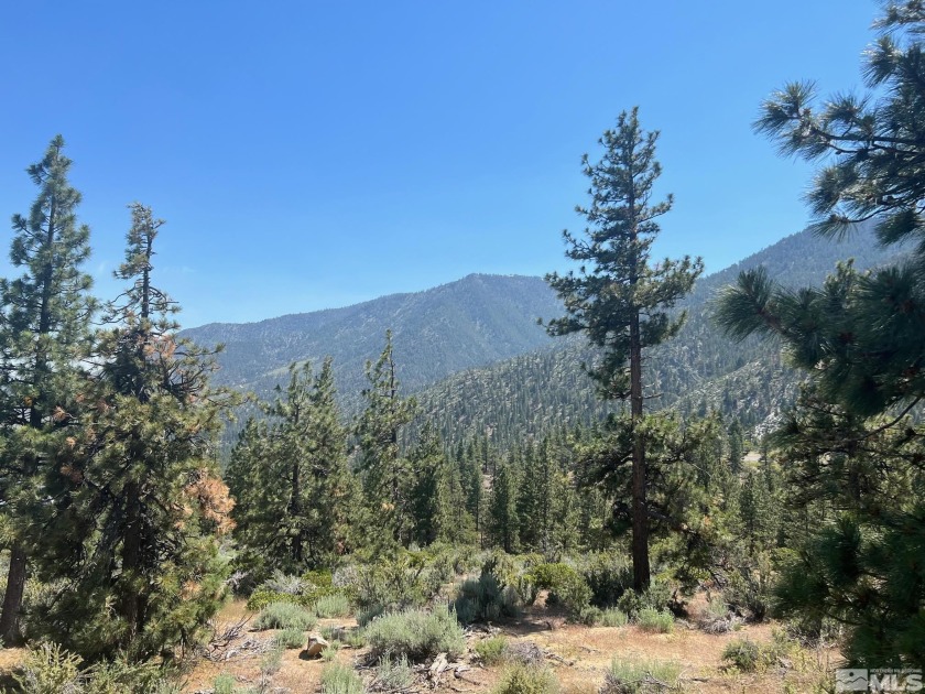 Clear Creek Tahoe is Northern Nevada's most exciting new - Beach Lot for sale in Carson City, Nevada on Beachhouse.com