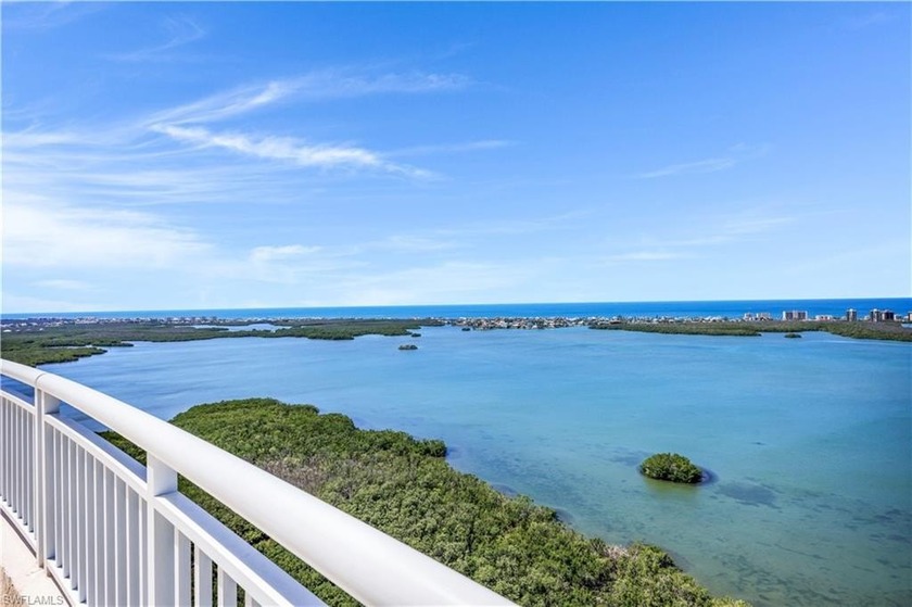 Welcome to your very special 14th floor residence in the sky - Beach Condo for sale in Bonita Springs, Florida on Beachhouse.com